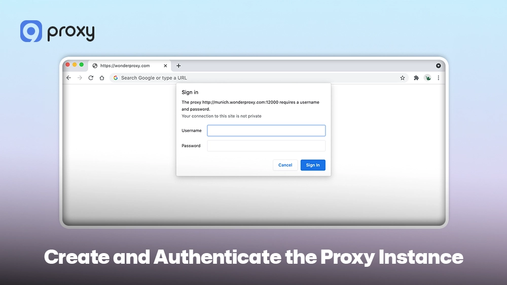 Create and Authenticate the Proxy Instance