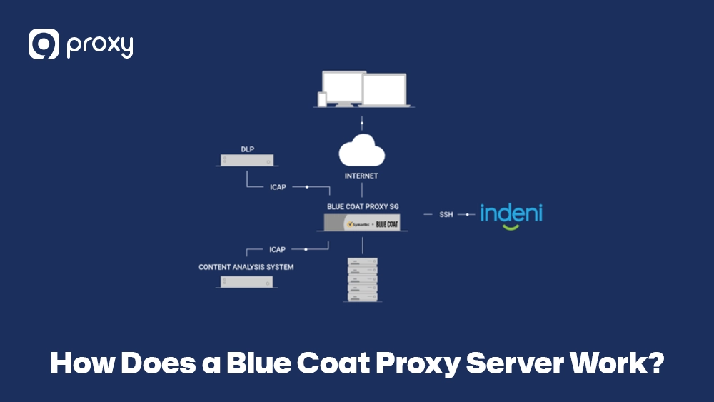 How Does a Blue Coat Proxy Server Work?
