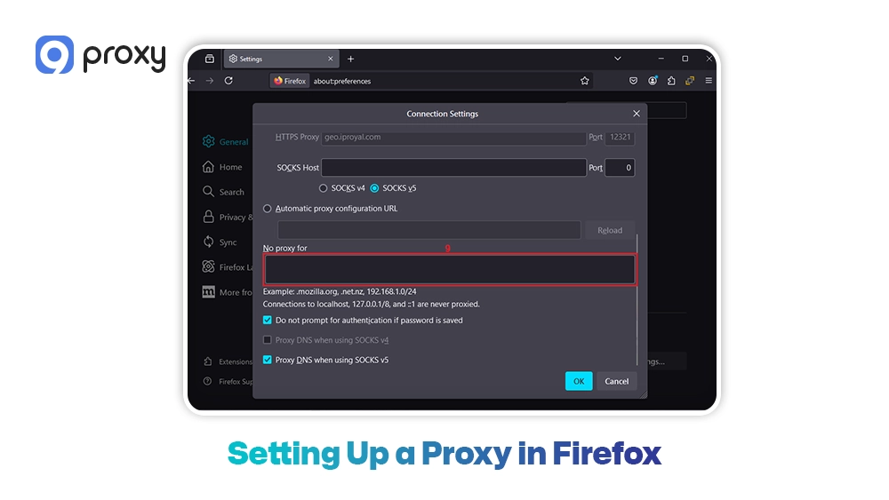 Setting Up a Proxy in Firefox