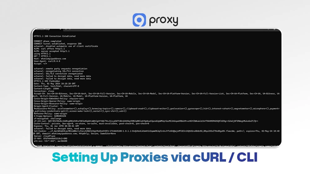 Setting Up Proxies via cURL / CLI