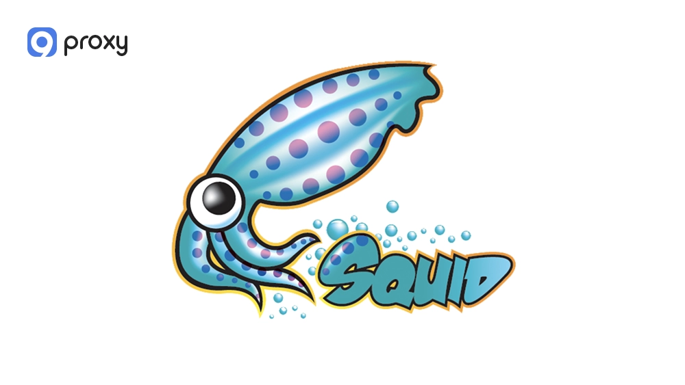 Squid Proxy