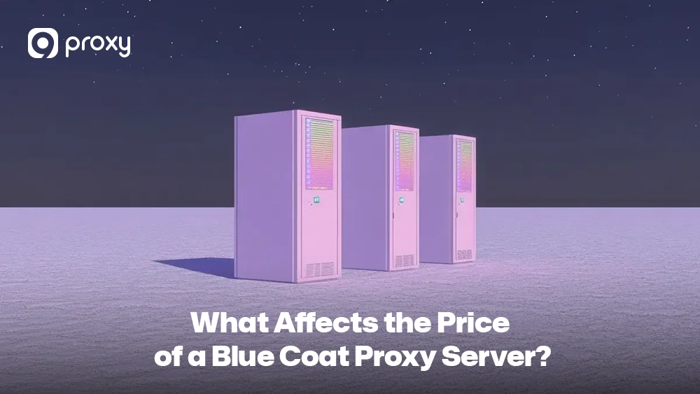 What Affects the Price of a Blue Coat Proxy Server?
