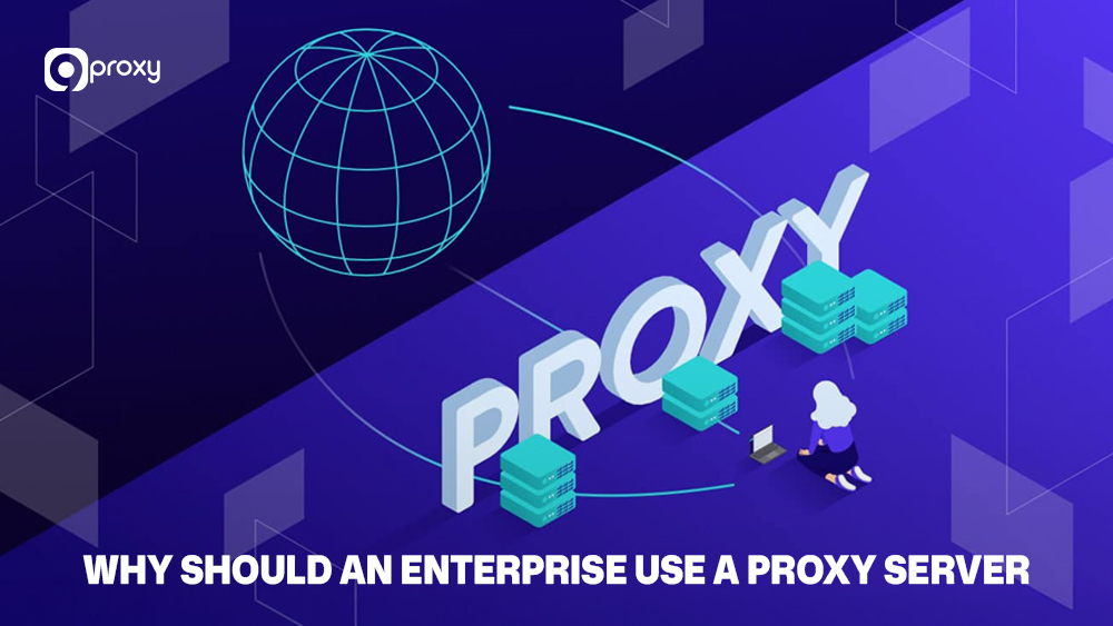Why should an enterprise use a proxy server