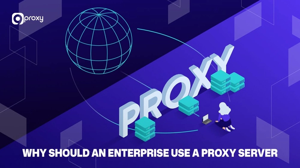 Why should an enterprise use a proxy server