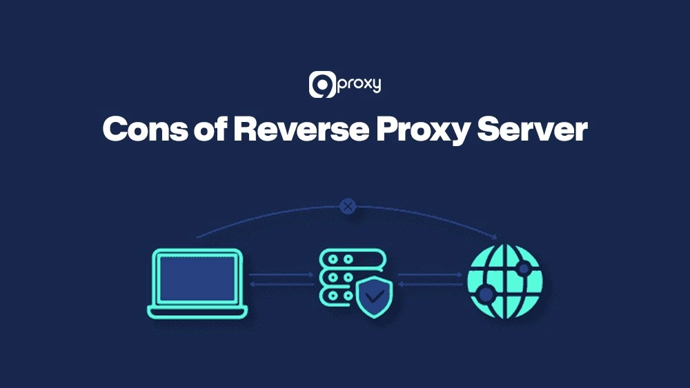 Cons of Reverse Proxy Server