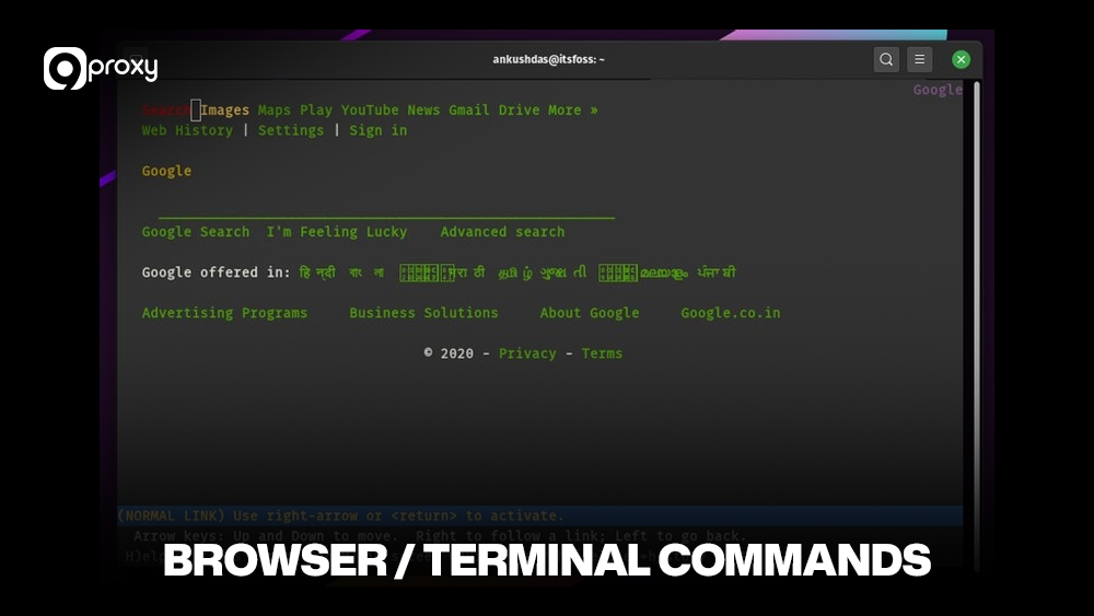 Browser / Terminal commands 
