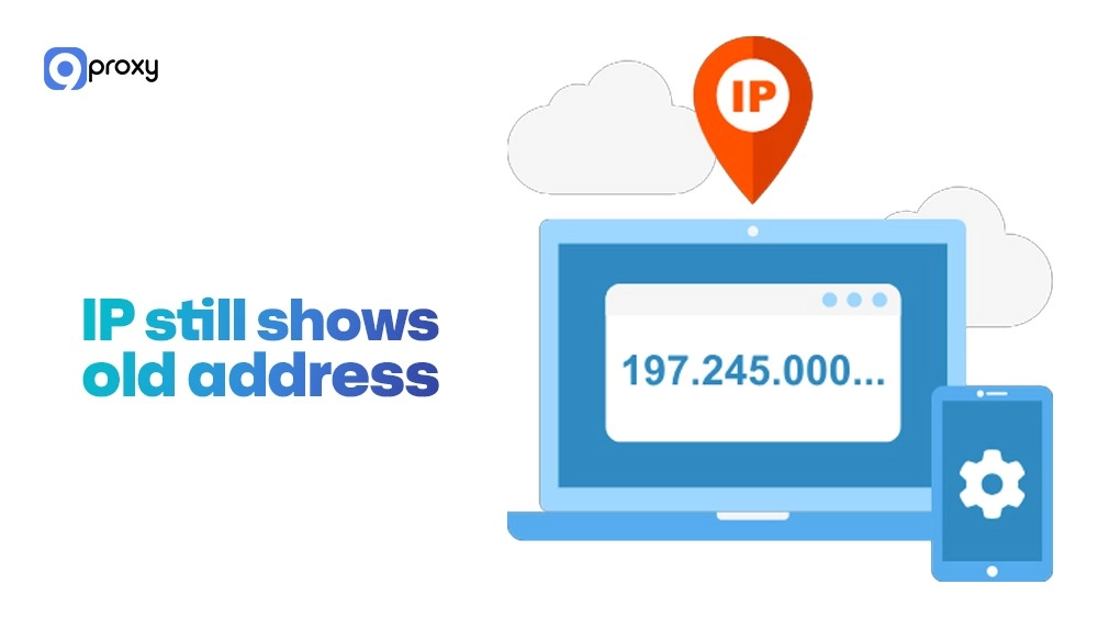 IP still shows old address