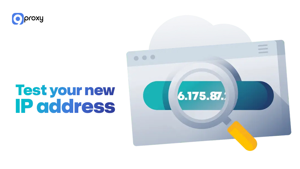 Test your new IP address