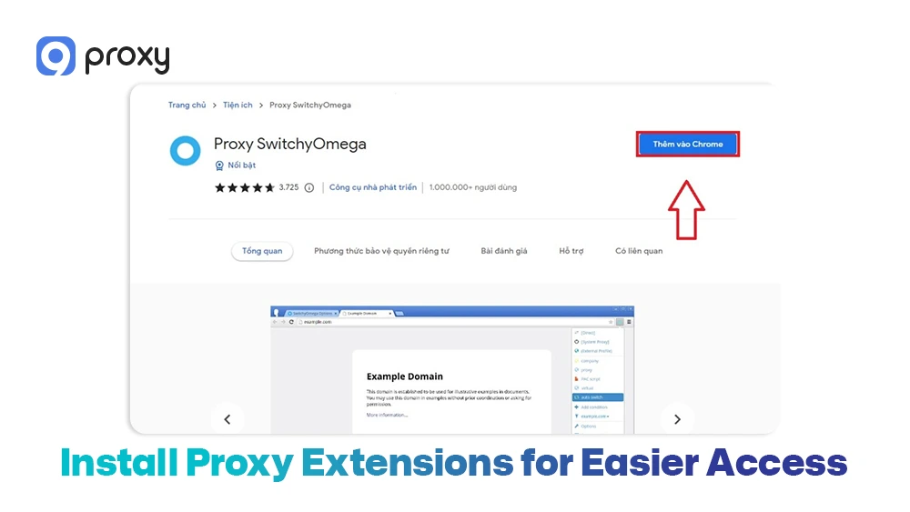 Install Proxy Extensions for Easier Access