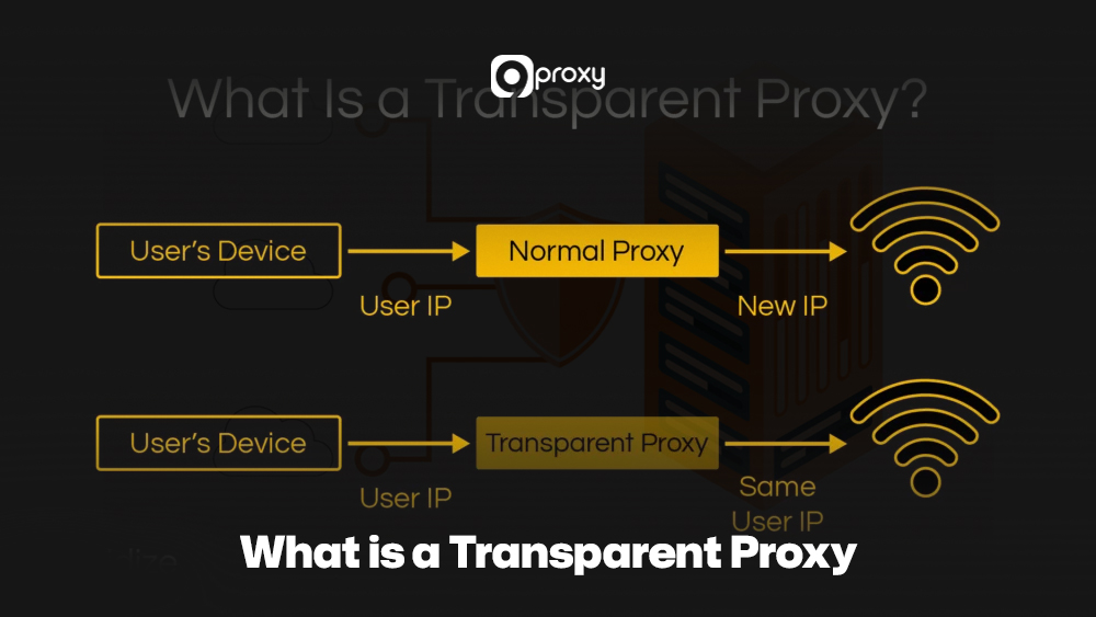 What is a Transparent Proxy