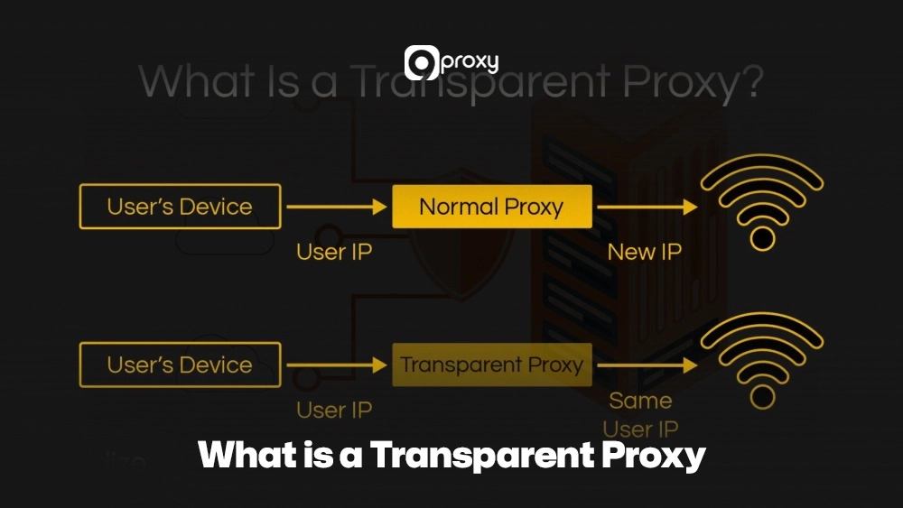 What is a Transparent Proxy