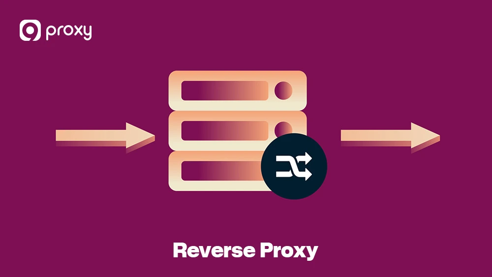When to Use a Reverse Proxy