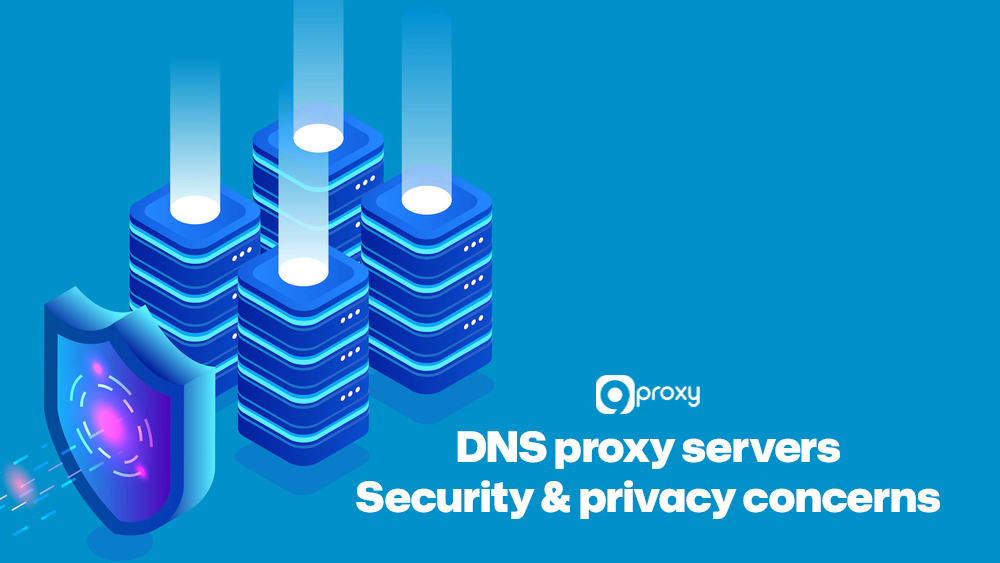 Security and privacy concerns of DNS proxy servers