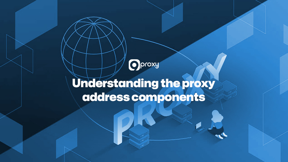Understanding the proxy address components