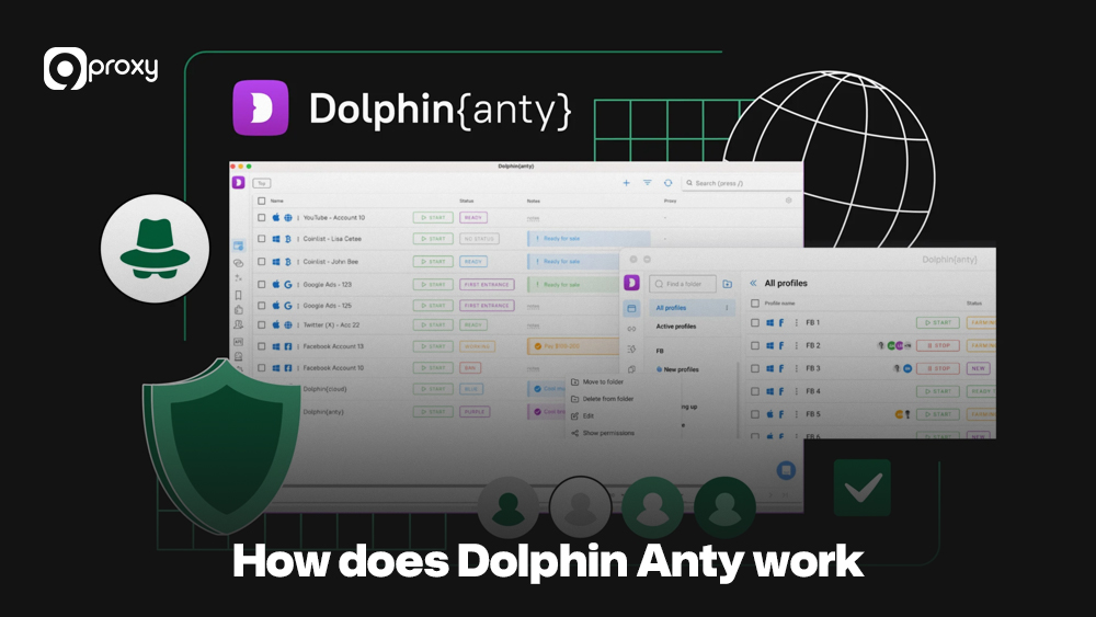 How does Dolphin Anty work