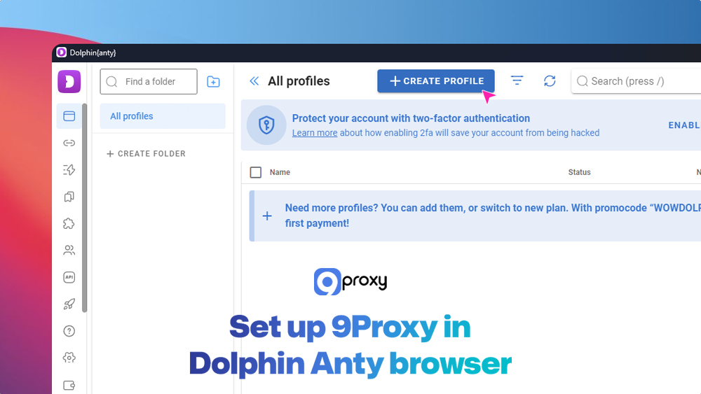 Set up 9Proxy in Dolphin Anty browser