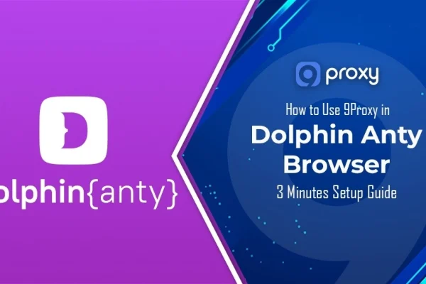 How to Use 9Proxy in Dolphin Anty Browser? 3 Minutes Setup Guide