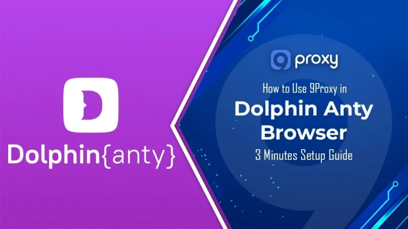 How to Use 9Proxy in Dolphin Anty Browser? 3 Minutes Setup Guide