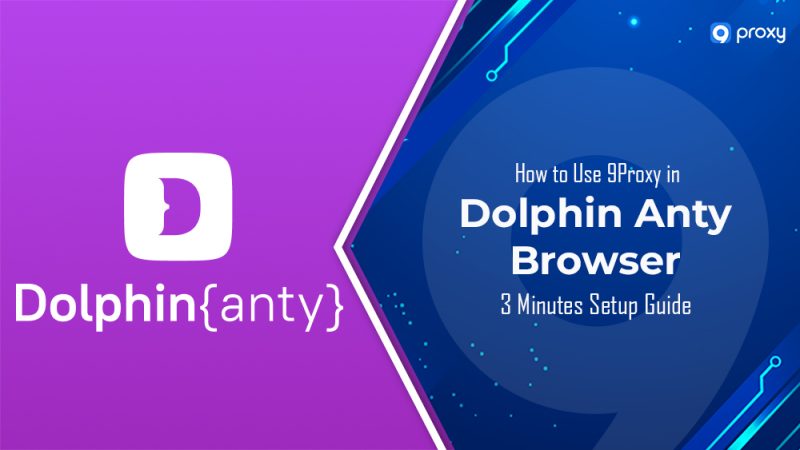 How to Use 9Proxy in Dolphin Anty Browser? 3 Minutes Setup Guide