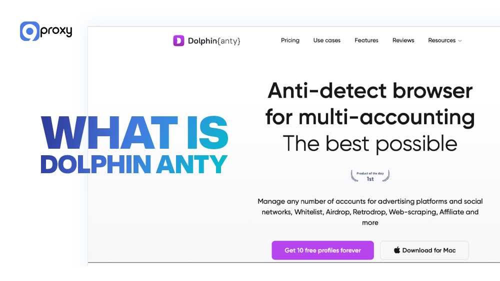 What is Dolphin Anty