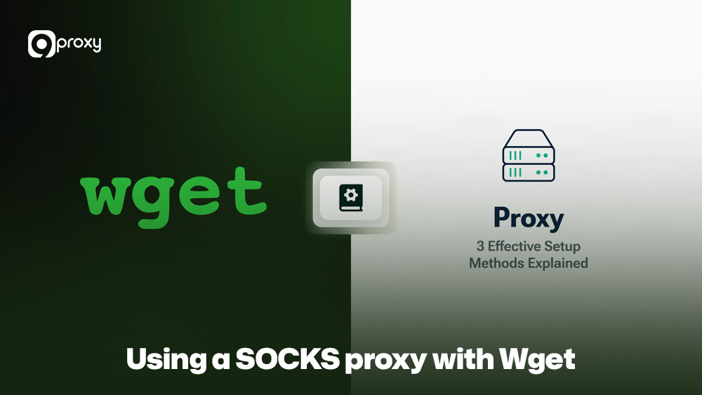 Using a SOCKS proxy with Wget