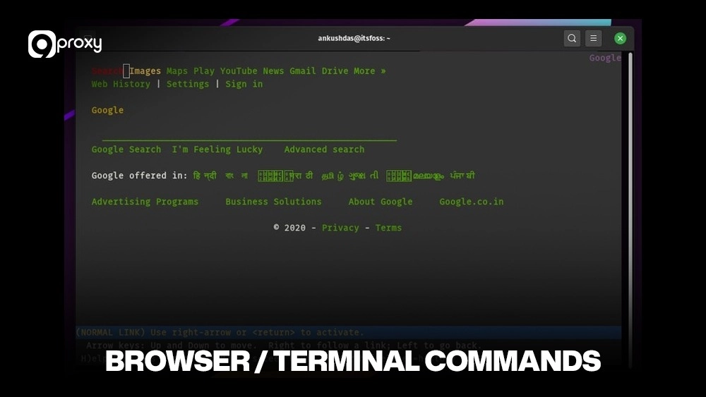 Browser / Terminal commands