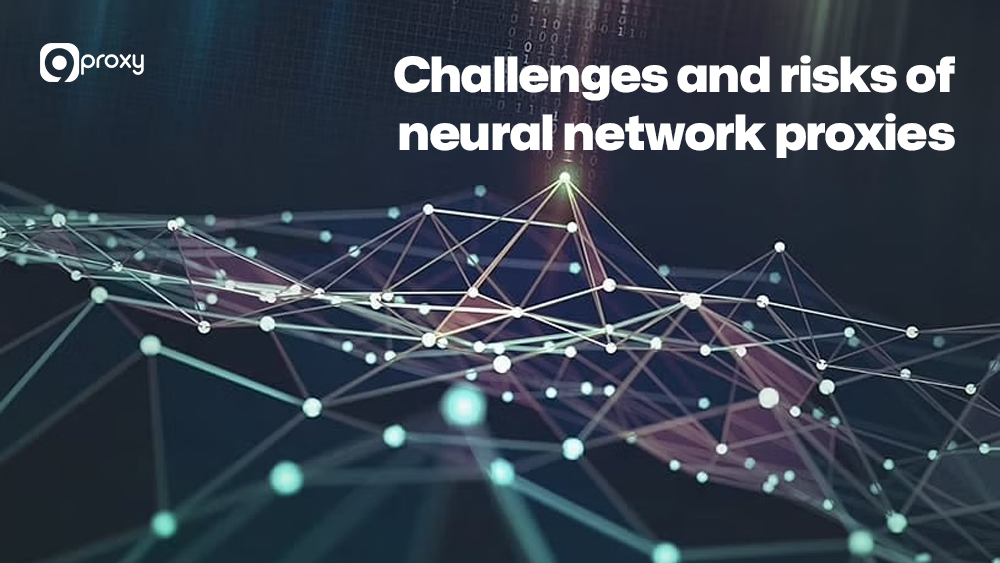 Challenges and risks of neural network proxies