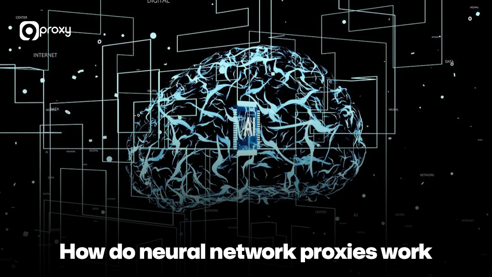 How do neural network proxies work