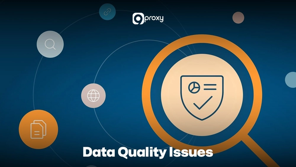 Data Quality Issues