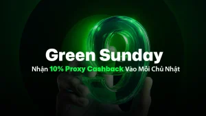 Green Sunday：如何在每周日获得 10% 代理返现