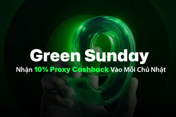 Green Sunday：如何在每周日获得 10% 代理返现