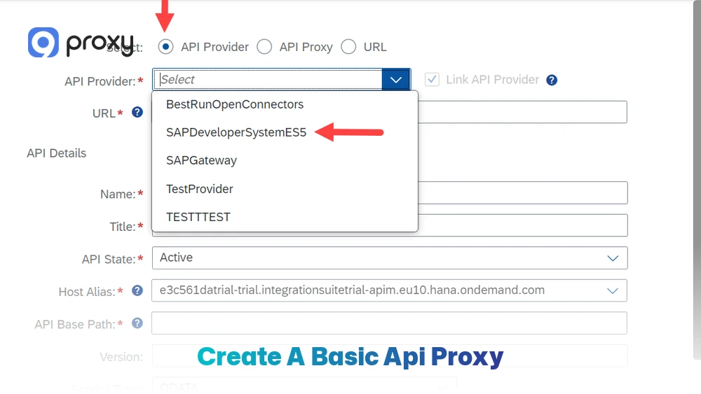 Create a Basic API Proxy