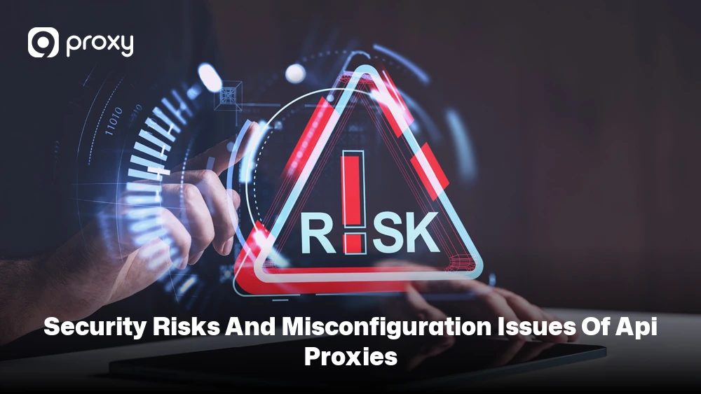 Security Risks and Misconfiguration Issues of API Proxies