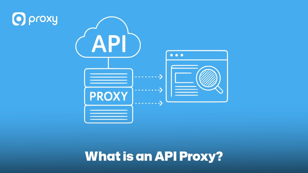 What is an API Proxy?