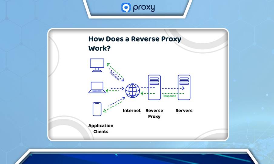 Reverse Proxy