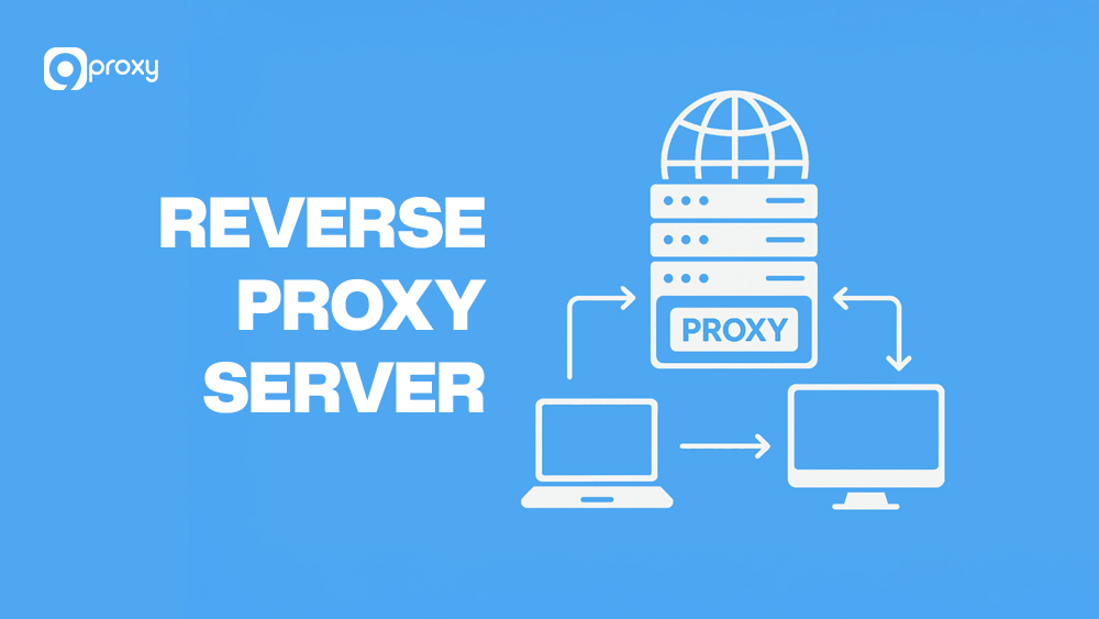 Reverse Proxy Server