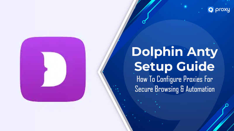 Hướng dẫn thiết lập Dolphin Anty: Cấu hình Proxy cho Duyệt web An toàn và Tự động hóa