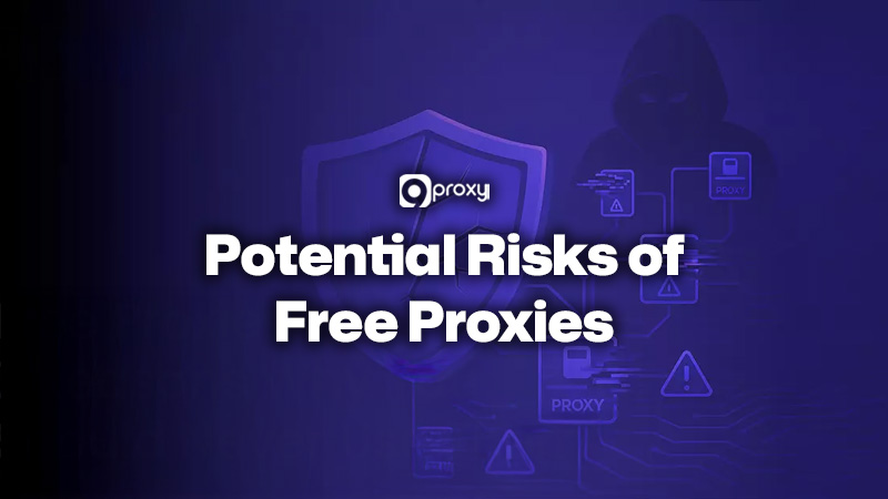 Potential Risks of Free Proxies