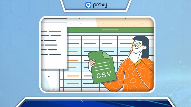What Is CSV?