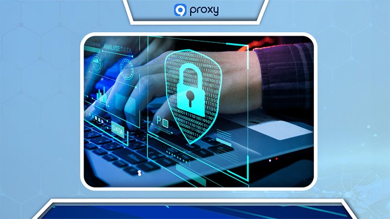 Benefits Of Dolphin Anty 