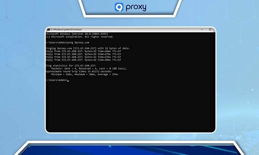Enter the IP Address Directly Instead of the URL