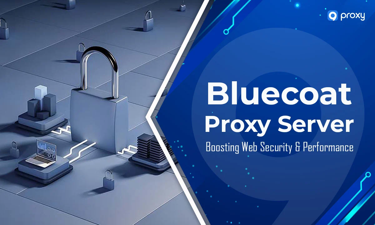 Bluecoat 代理服务器：提升网络安全与性能